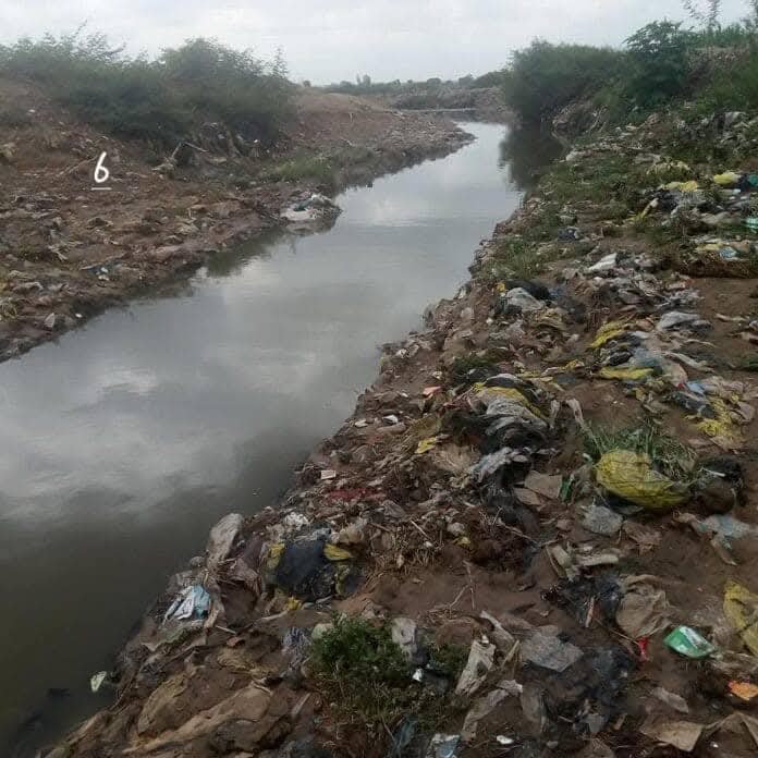 Climate Change Threatens Oysters in Northern Nigeria, Environmental Journalist Raises Alarm