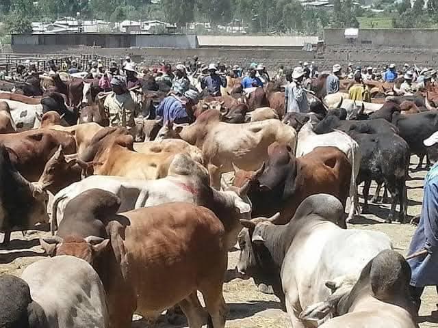 FG adopts 10 year veterinary roadmap to boost livestock health, food security