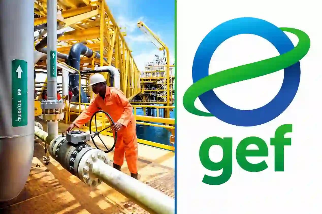 FG: Nigeria can industrialise without harming environment via GEF–UNIDO project