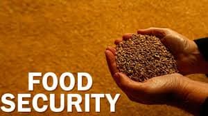 WFD 2026: Put nutrition at centre of food security agenda, CAPPA tasks FG