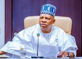 Shettima: Tinubu Working to Secure Safe Return of Abducted Schoolchildren, Others